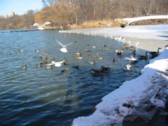 IMG_3372.JPG