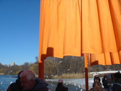 IMG_3373.JPG