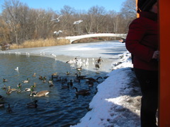 IMG_3375.JPG