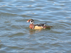 IMG_3377.JPG