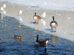 IMG_3378.JPG