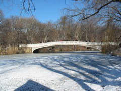IMG_3379.JPG