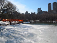 IMG_3382.JPG