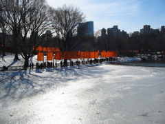 IMG_3383.JPG