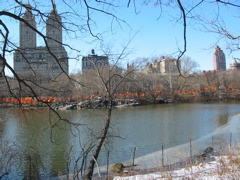 IMG_3385.JPG