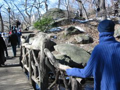 IMG_3386.JPG