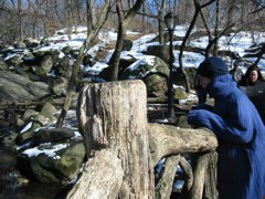 IMG_3388.JPG