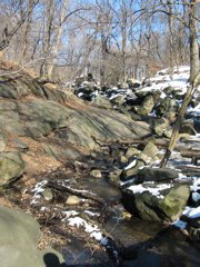 IMG_3389.JPG