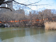 IMG_3392.JPG