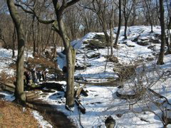 IMG_3393.JPG