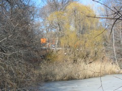 IMG_3394.JPG