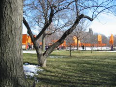 IMG_3396.JPG