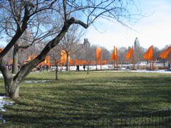 IMG_3397.JPG