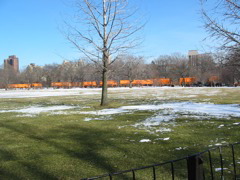 IMG_3398.JPG