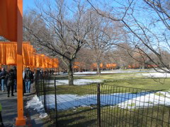 IMG_3400.JPG