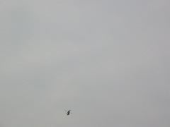 Oh, those heliocopters!