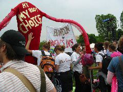 IMG_2167.JPG